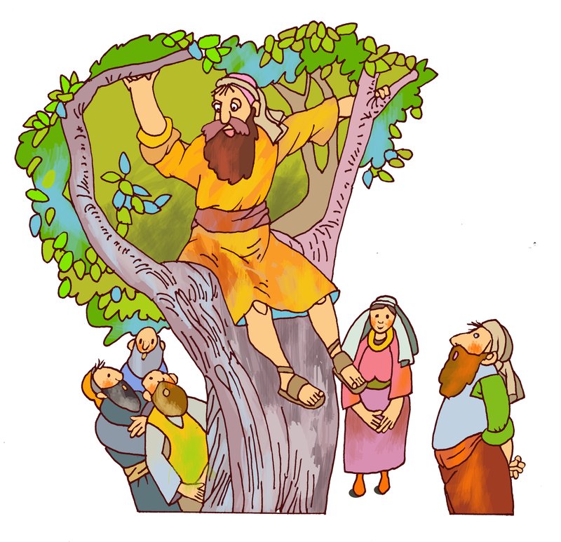 bocsánat 01  img_Damó