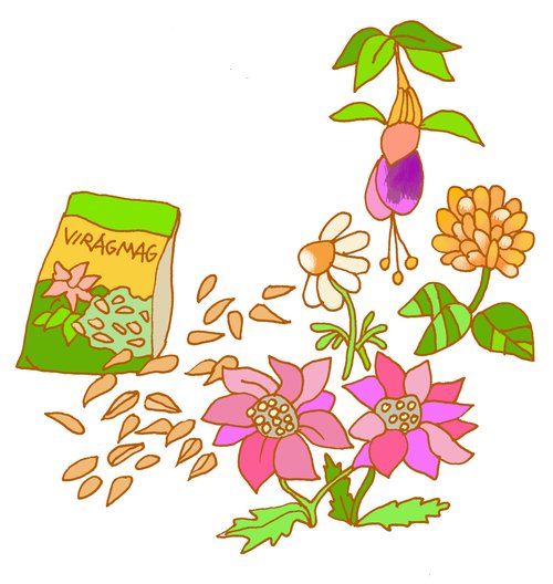 elveszett és megtalált remény_Damó